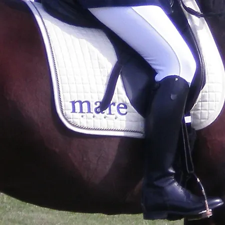 Suiten-hotel Mare מלון